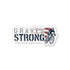 GS Durable Die Cut Logo Magnets - Ride Gravel Strong