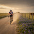 Cycling jersey with Texas flag design on a white background